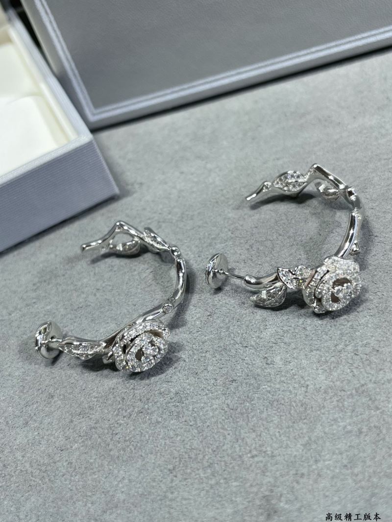 Christian Dior Earrings